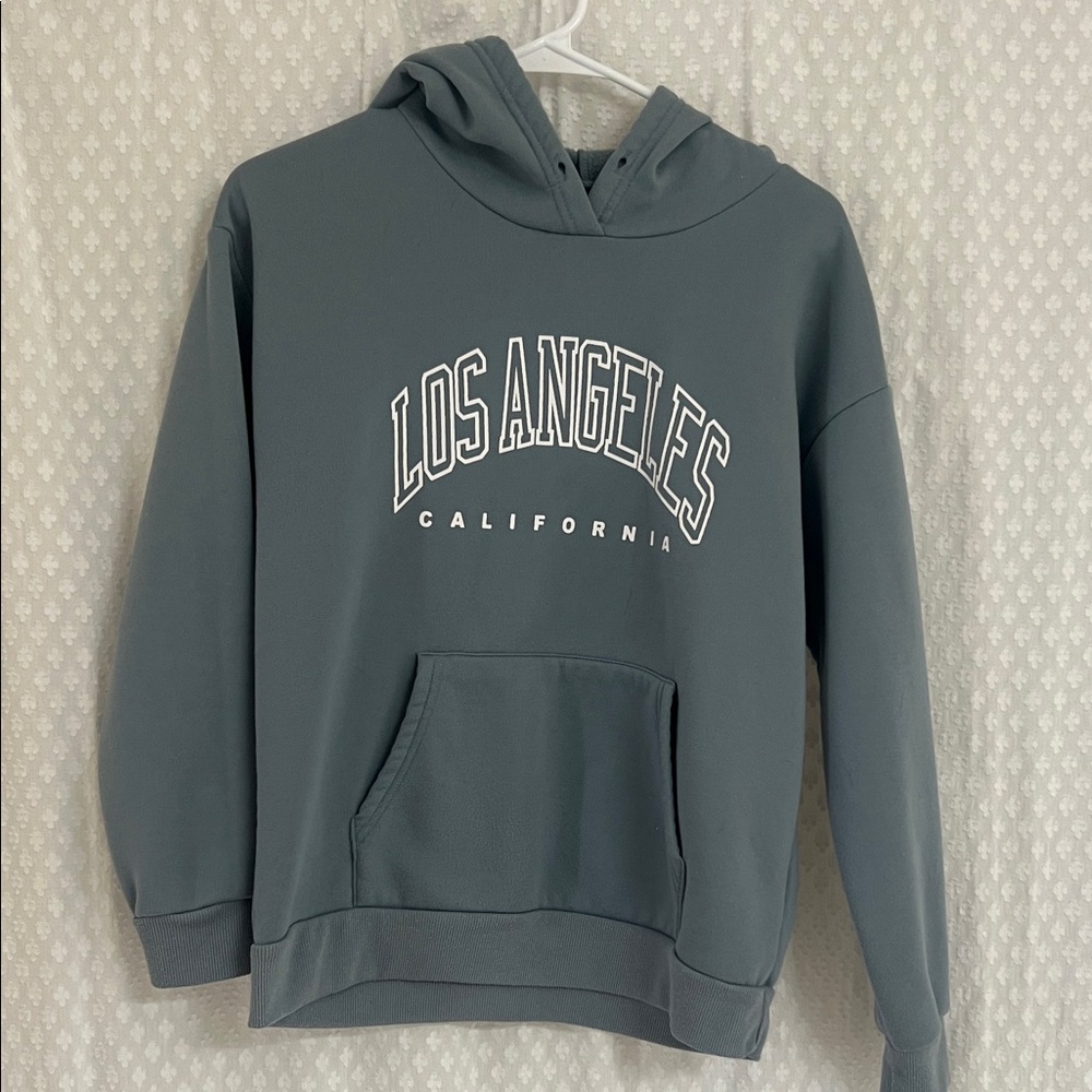 SHEIN Soft Gray Fleece Hoodie